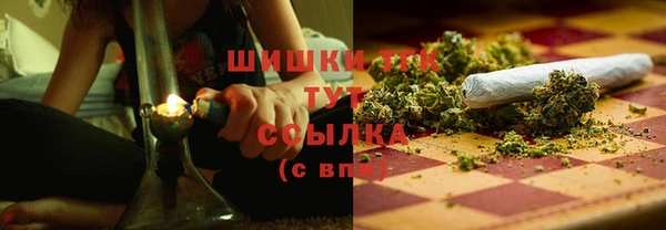 дживик Надым