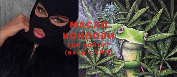 дживик Надым