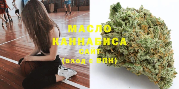 дживик Надым