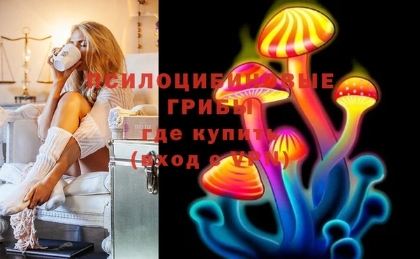 шишки Бежецк