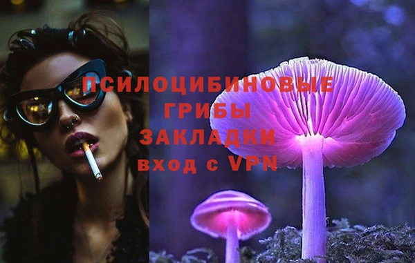 крисы Наволоки