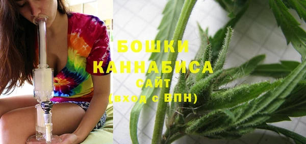 дживик Надым