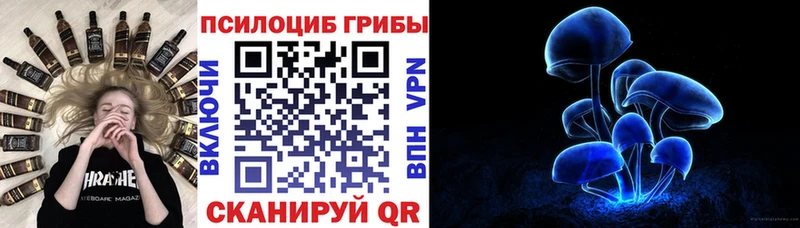 наркошоп Южноуральск Галлюциногенные грибы Psilocybe